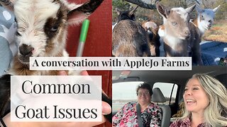 Common Goat Issues | Importance of a Goat Mentor | Goat Emergencies