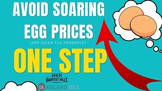 Avoid Soaring Egg Prices (and Avian Flu Pandemic) In One Step