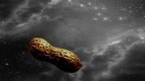 Peanut-Shaped Asteroid