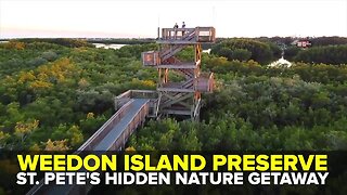 Weedon Island Preserve: St. Pete's hidden nature getaway | Taste and See Tampa Bay