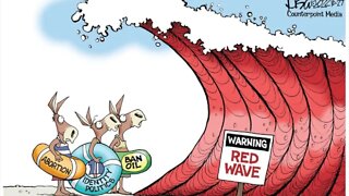 NEWS | A Red Wave DID Happen that MSM Doesn't Want You to Know