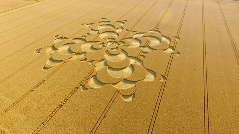 MICHAEL JACO: Crop Circles,Plasma Fields,ET influence,cattle mutilations,plant communication.