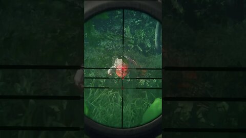 CROSSBOW 🏹 Piebald 🐊 Gator Up close - Post Emerald Update - theHunter: Call of the Wild #shorts