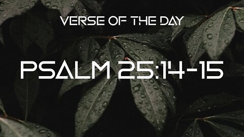October 18, 2022 - Psalm 25:14-15 // Verse of the Day