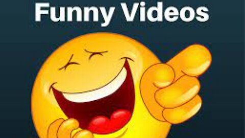 Best Funny Videos