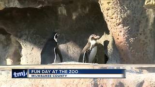 Families enjoy zoo tradition on Thanksgiving