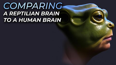 Theory of Evolution, Reptilian Human Brain Explained