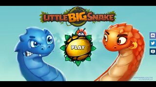 Little Big Snake. Good music, аnd a good game.