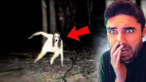 SCARY VIDEOS... This One Will Freak You Out 😲 (Anxiety Warning*)