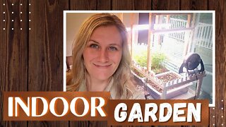 Indoor Gardening for beginners | DIY indoor garden | Indoor garden design
