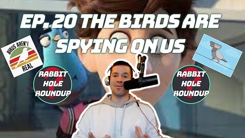Rabbit Hole Roundup 20: THE BIRDS ARE SPYING ON US | Taylor Swift Deepfake, CIA Birds, Crazy Dreams