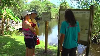 South River Outfitters offers kayaking alternative to St. Lucie River