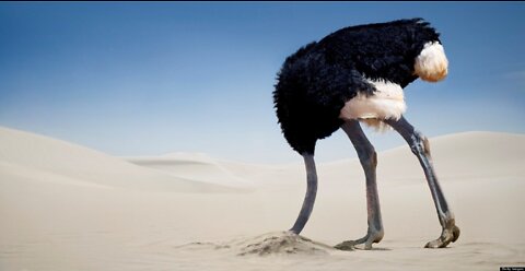 Help me expose the ostrich mob with their heads buried deep in the sands of deceit