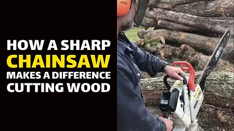 How a Sharp Chainsaw Makes a Difference Cutting Wood