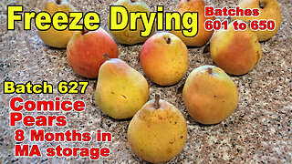 Batch 627 - Freeze Drying Pears picked 8 months ago! Cold Storage & Modified Atmosphere Storage
