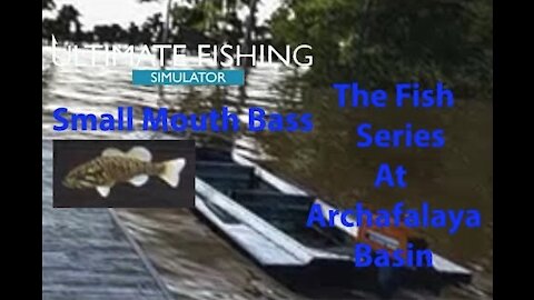 Ultimate Fishing Simulator: The Fish - Archafalaya Basin - Smallmouth Bass - [00027]