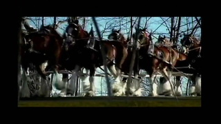 Budweiser 9/11 Commercial