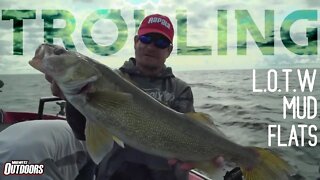 Tips for Trolling Lake of Woods for Giant Walleye