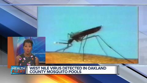 West Nile virus found in Oakland County mosquito pool