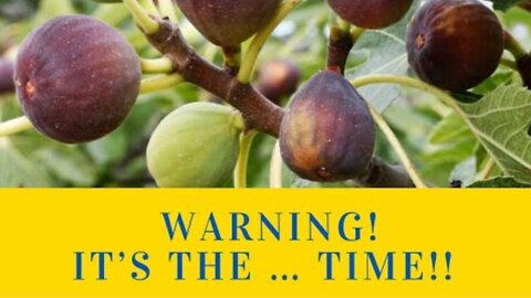 WARNING! IT’S THE ….. TIME!!! - Prophetic Ministry!!