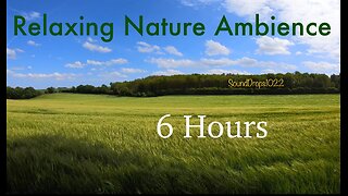 Extended Retreat: 6 Hours of Soothing Meadow Sounds