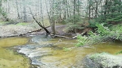 It looks like trails end... #fun #trail #walk #washout #exercise #blazing #greatoutdoors #hiking