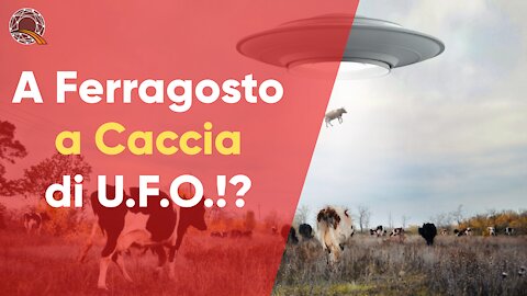 🛸 A Ferragosto a Caccia di U.F.O.?