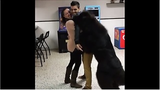 Jealous Newfoundland refuses to let couple hug