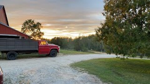 Anyone can farm homestead Q&A with Wellness Wednesday