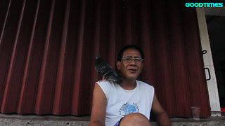 This Guy Tries to Befriend a Pigeon