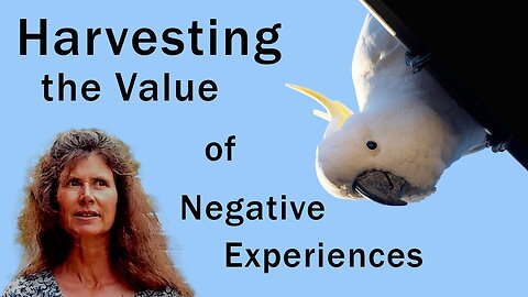 Billy Meier: Harvesting The Value Of Negative Experiences