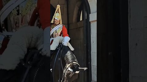Guard give the toutist look #horseguardsparade