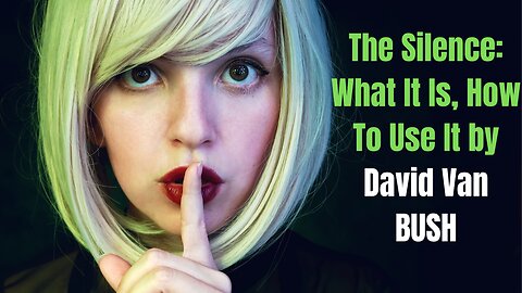 The Silence What It Is How To Use It by David Van BUSH