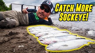 How To CATCH Columbia River SOCKEYE Salmon (BANK FISHING!)