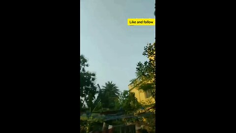 Mohabbat Ka Network: Biwi Aur Pati Ke Dil Ke Sim Card" #viral #trending #funny
