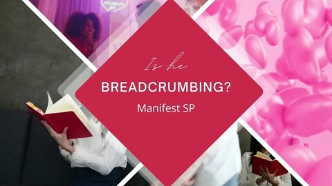 Stop breadcrumbing behavior | Manifest sp