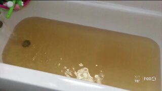 Fort Myers neighborhood living with urine-colored water