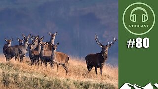Are we in danger of wiping out our deer? – FieldsportsChannel Podcast, episode 80