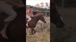 Wild Horse Riding skills 💥🐎