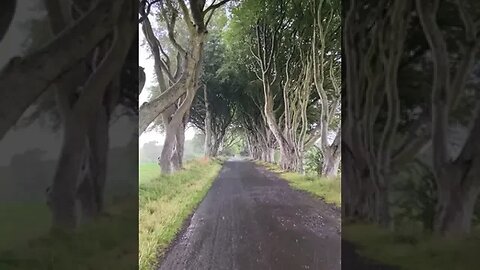 The most beautiful beech alley Dark Hedges is located in the Irish County of Antrim.