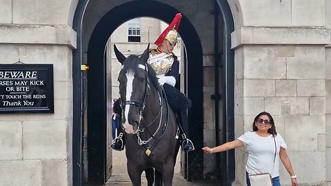 tourist keep touching his foot #horseguardsparade