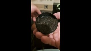 Amarillo Snuff Review (Peach)