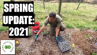 Maximize Your Growing Area // Spring Update 2021