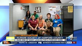 Good morning from the Humane Society of Harford County!