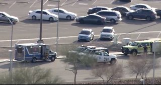 Update: Thief arrested after running across Las Vegas airport runway