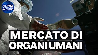 NTD Italia: Il racket del trapianto di organi in Cina è un business atroce