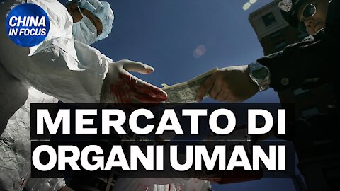 NTD Italia: Il racket del trapianto di organi in Cina è un business atroce