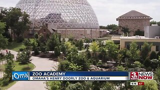 Courtney's Corner: Zoo Academy