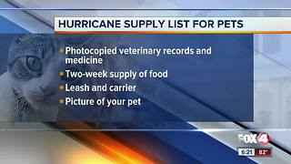 How to protect your pets during hurricane season
