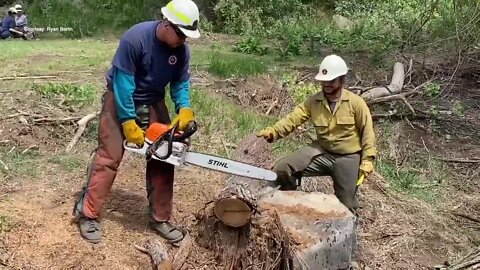 BLM Firefighters train with chainsaws ahead of fire season